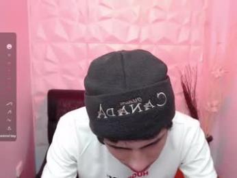 stich_23 webcam model stream image