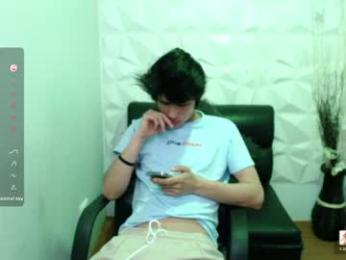 stich_23 webcam model stream image