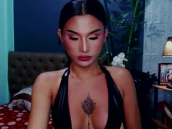 msasianbigcockts webcam model stream image