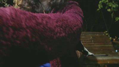 French_Claire25 webcam model stream image