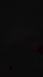 Gallo_brzs webcam model stream image