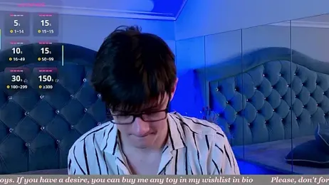 Allert_ webcam model stream image