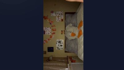 SilviaWyze webcam model stream image