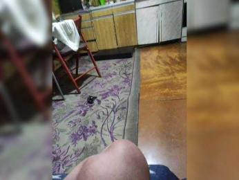 Barguziniko webcam model stream image