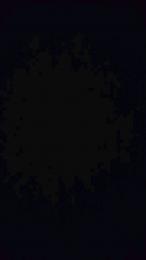 Couple_av webcam model stream image