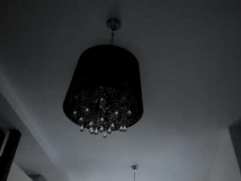 blossomandbee webcam model stream image