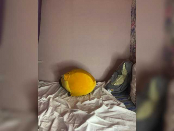 P_Pups webcam model stream image