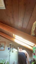 XBEAR001 webcam model stream image