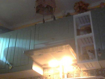 blue_Flame webcam model stream image