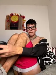 YEICK-17 webcam model stream image