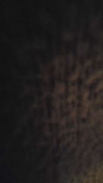 Duro0784 webcam model stream image