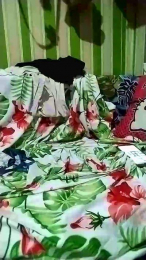 Hotmama45 webcam model stream image