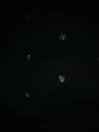 Karla_Stein2026 webcam stripchat model stream image