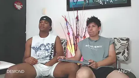 DEMOND_333 webcam model stream image