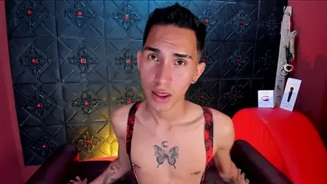 Alexmillers webcam model stream image