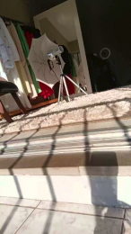 black1982 webcam model stream image