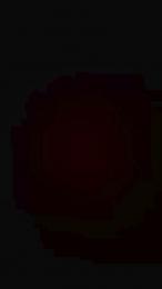 SpeedSail webcam model stream image