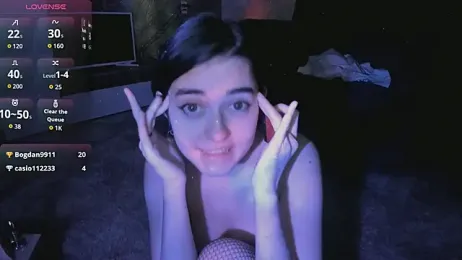 VasilLisav webcam model stream image