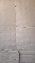 Fsst4 webcam model stream image