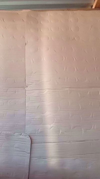 Fsst4 webcam model stream image