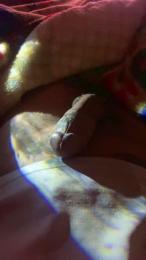 Frasnica webcam model stream image