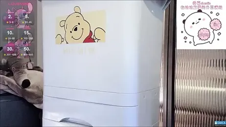 fog- webcam model stream image