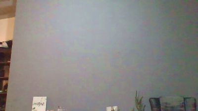 mehs5 webcam model stream image