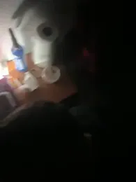 Berkooviva3 webcam model stream image