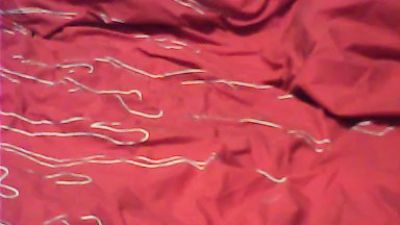 Nikipenem webcam model stream image