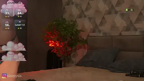 Sleepy_SIS webcam model stream image