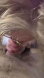 robbyuno webcam model stream image