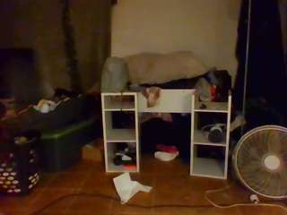 slummshadiee webcam model stream image