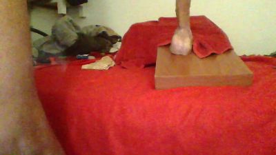 afpnso25 webcam model stream image