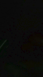 SouUber webcam model stream image