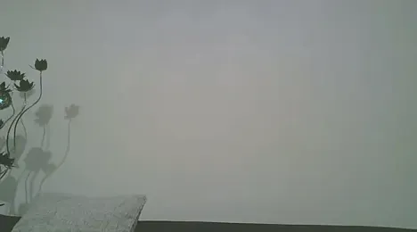 PocoLoco420 webcam model stream image