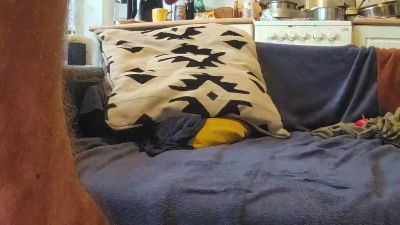 badboifun2 webcam model stream image