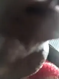 rohitlov150 webcam model stream image