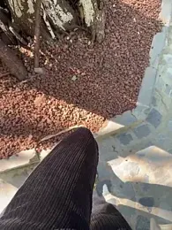 Meii-meyy webcam model stream image