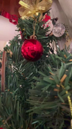 Marinomade webcam model stream image