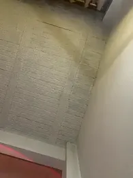 aly_golden_ webcam model stream image