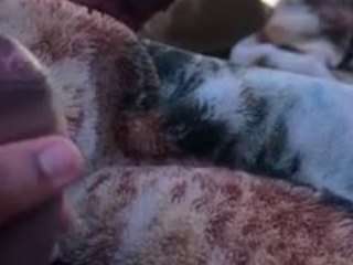 kmbvv webcam model stream image