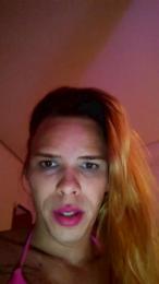 Smith08an webcam model stream image