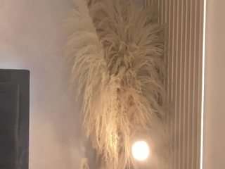 dakotajamess webcam model stream image