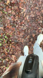 pimmel51 webcam model stream image