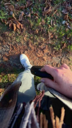 pimmel51 webcam cam4 model stream image