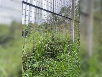 MoanaQliphoth webcam model stream image