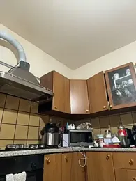 DaisyVibesss webcam model stream image