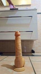 sesto4 webcam model stream image