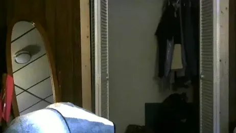 Blimp230 webcam model stream image