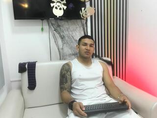 Venedic Bull webcam model stream image